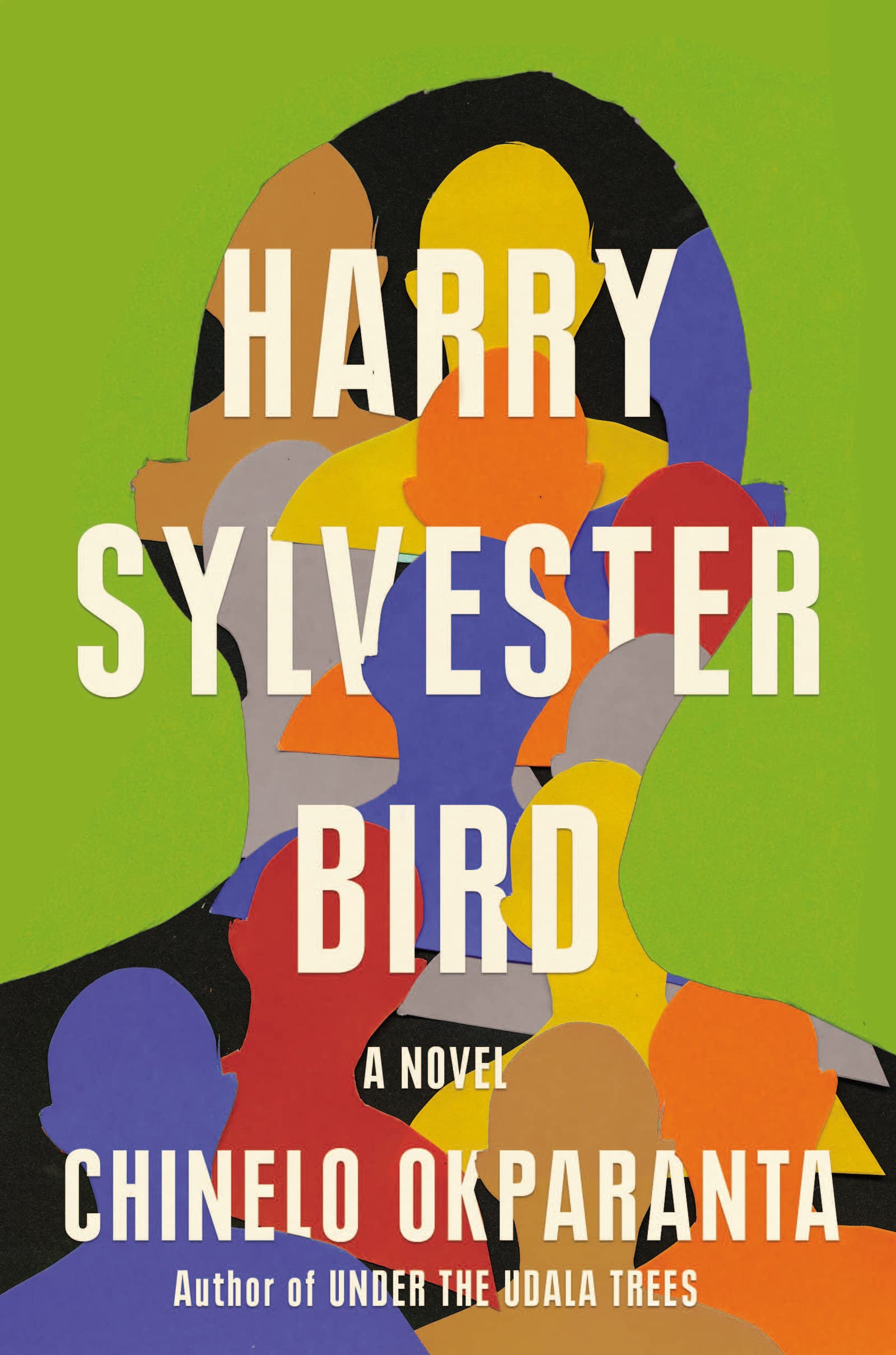 Racism Through the Eyes Love and Desire | Review of Harry Sylvester Bird by Chinelo Okparanta